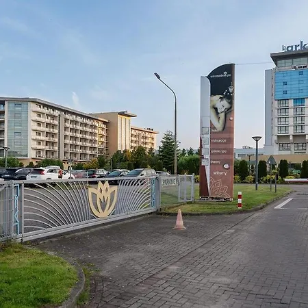 Ania Z Widokiem Na Morze W Arka